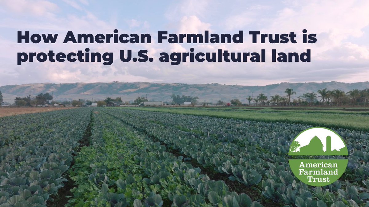 Our research suggests that we’re losing 2,000 acres of farm and ranch land a day in the U.S. to development or other uses that jeopardize farming. Learn more about how we're working to protect our nation's agricultural land: