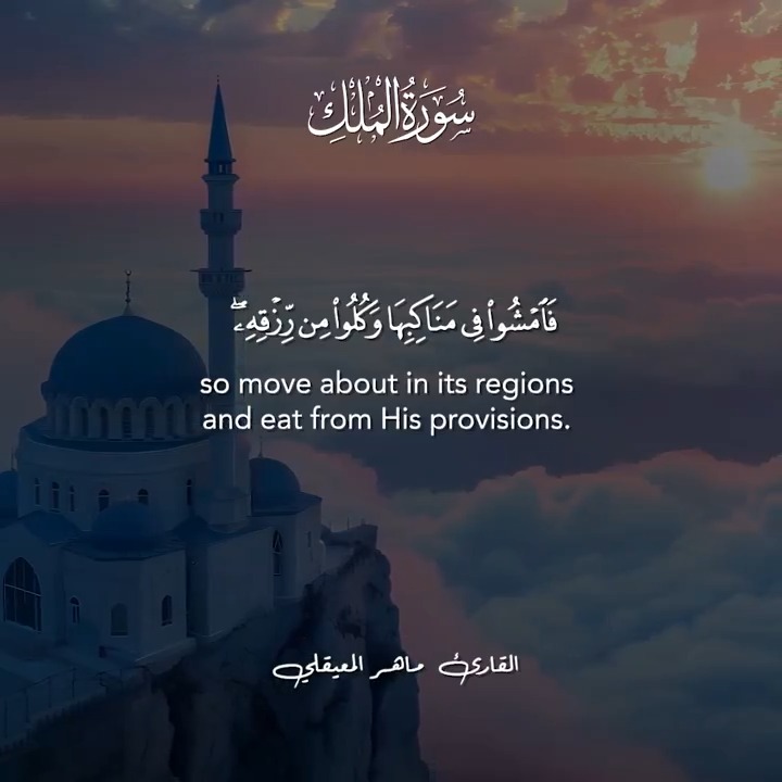 يركز الهدي الإلهي على أن الإيمان بالله وخشيته هما أساس قوام النفس البشرية، ويحرص على أن تنشأ هذه النفس على الإخلاص والصدق في السر قبل العلن، وتتنقّى من شوائب الرياء والنفاق، لذلك خصّ الله من يخشاه في السر قبل العلن بعظيم المغفرة وجزيل الأجر، ولن يخفى عليه سبحانه المخلص من غير المخلص، فهو العليم بما تكنه الصدور وما تنطوي عليه النفوس، هو الخالق والأعلم بخلقه، وهو الرحيم بهم حين يوجه عقولهم لتتأمل في برهان قدرته ولطفه وعلمه، فليتفكروا في ما حولهم من آيات قدرته في خلقه، وليعتبروا في أحوالهم كيف ذلل لهم الأرض وحماهم من السماء وكان لهم الناصر والرازق.. فهل يتساوى من تتعطل عقولهم وتعمى بصيرتهم مع من يتبعون الهداية والاستقامة؟ #جمعة_مباركة - #حسن_إسميك