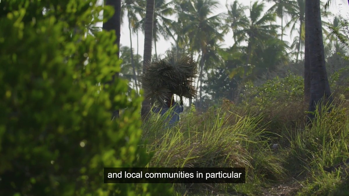 Indigenous peoples play an essential role in safeguarding #nature – but are often denied involvement in key decisions. 👆 It’s vital we help uphold their rights, respect their knowledge and appropriately support them to preserve their territories of life. #WWFUntangled