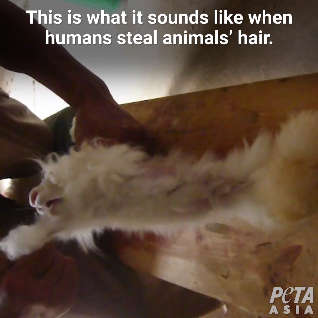 They experience this agony over and over again.