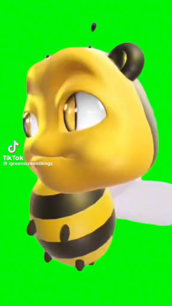 bzzzzzzzzz 🍊🎯