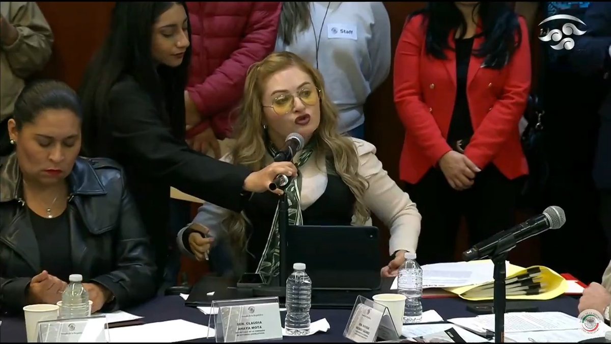 Denunciamos que las presidencias de las comisiones de Estudios Legislativos y de Puntos Constitucionales se están negando a recibir los documentos de las suspensiones de amparo y nuestras manifestaciones de participación ad cautelam: Claudia Anaya 👩🏼‍🦽