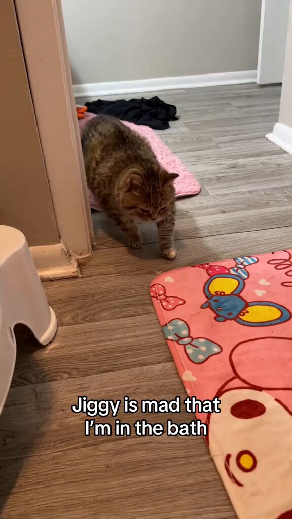 I like how jiggy fully inflates when she meows