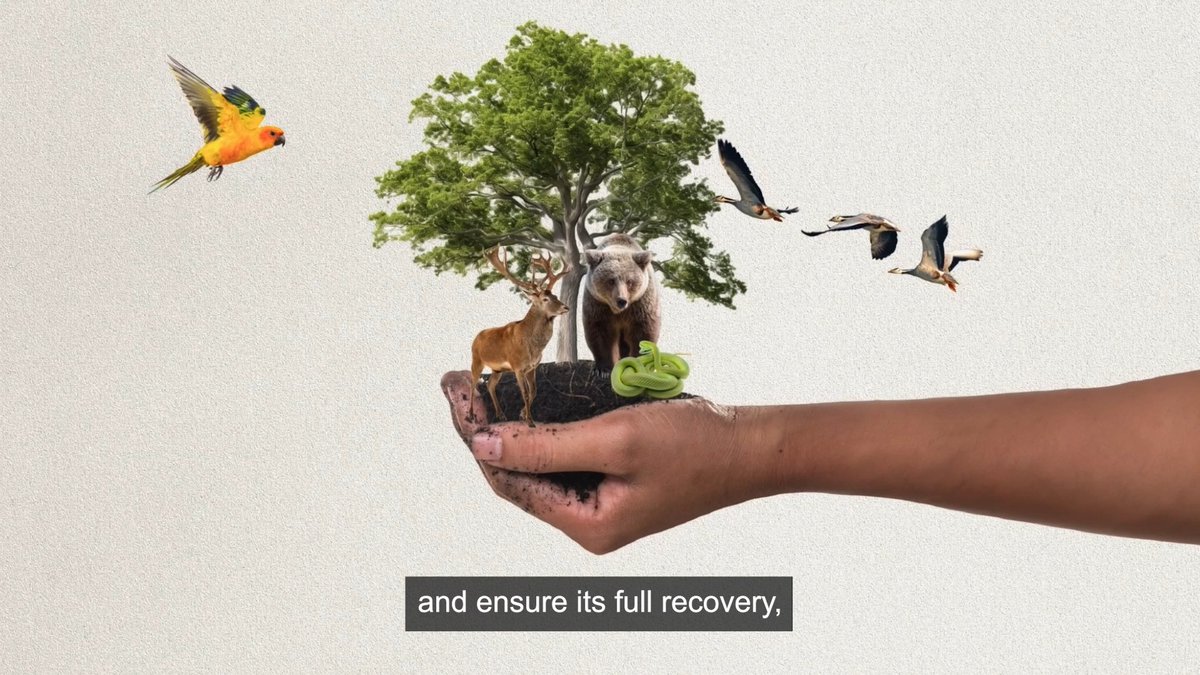 Today, our food systems drive 80% of deforestation and 70% of freshwater use.😥 Urgent action is needed. We must shift demand to sustainable choices and cut food waste. RT if you agree! #WWFUntangled
