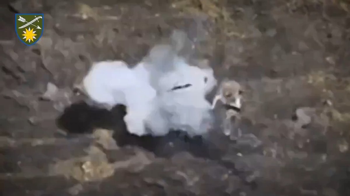 Two dudes empty their mags in an attempt to take out an explosives laden FPV drone but fail. Then, one guy throws his AK74 at it (seriously) and that gets it to detonate likely saving his life. Wild... 👀 #war #drone #evolution #AK74 #ukraine #russia #FPVdrone