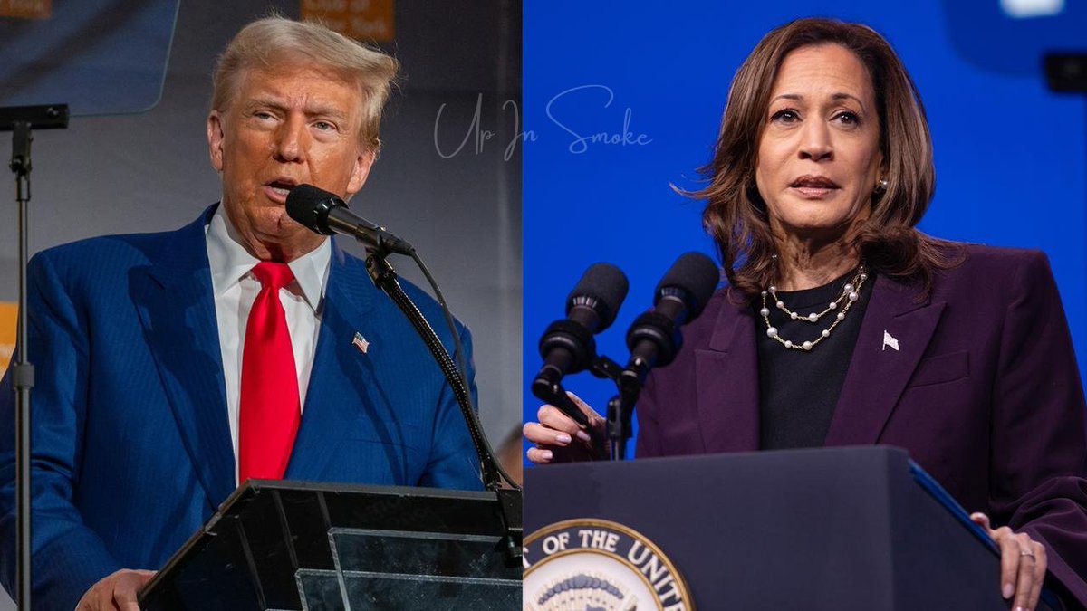 I can't wait to watch Trump win tonight's debate! #Debate2024 This is going to be a good Tuesday for the American people to remember. Kamala Harris' career will end tonight; Trump will shut it down.