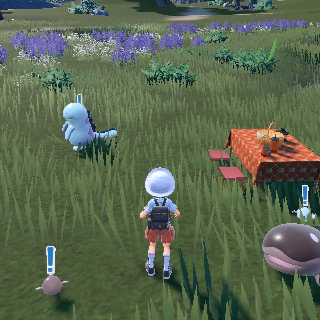 Which Pokémon do you picnic with most, Trainers?