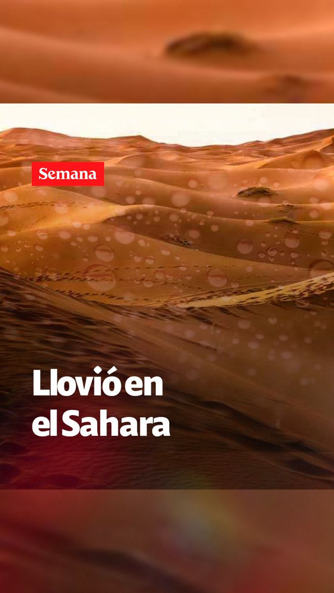 El desierto del Sáhara experimentó un fenómeno inusual, llovió intensamente y los expertos están preocupados. Los detalles en el video.