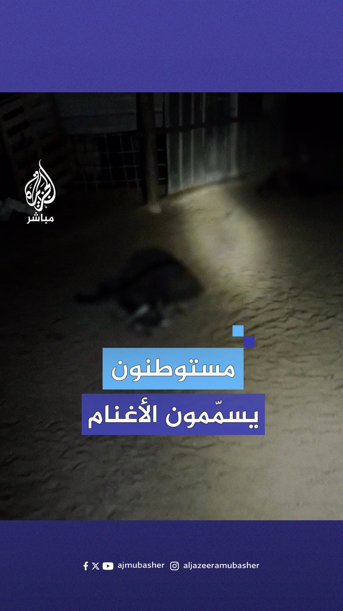 نفوق عدد من رؤوس الأغنام بعدما سمّمها مستوطنون إسرائيليون في تجمع عرب المليحات شمال غربي مدينة #أريحا. 🔴 حسن مليحات -المشرف العام لمنظمة "البيدر" للدفاع عن حقوق البدو- قال في تصريحات صحفية "تشير الدلائل إلى أن السم وضِع في المياه التي كانت تشرب منها الأغنام، ما تسبّب في نفوق أكثر من 50 رأسا منها، تعود للشقيقين سليمان ومحمد علي مليحات".