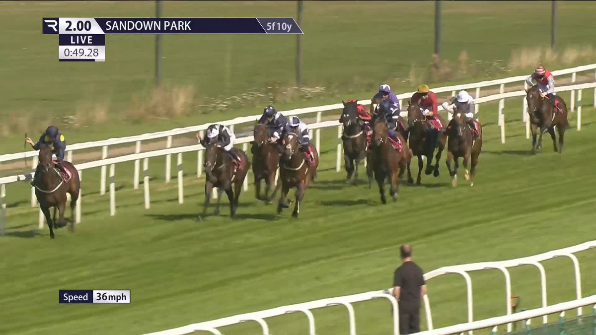 That's impressive!" 👀 Kullazain (Hello Youmzain) improves dramatically from his debut run at Ripon to easily win the five-furlong British EBF maiden Sandown Park under Neil Callan 🔵🟡