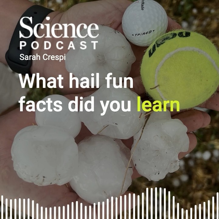 Hail finally gets its scientific due. In the latest #SciencePodcast🎙️, News from Science Intern Hannah Richter joins host SarCrespi to discuss the new technologies deploying in this long-neglected area of research. 🎧 Listen here: