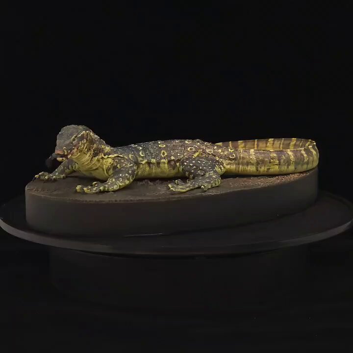 QRT with your biggest "trust the process" project The first time I made a lizard (because I was too scared to try it for a long time). I think I've made about 8 species now...