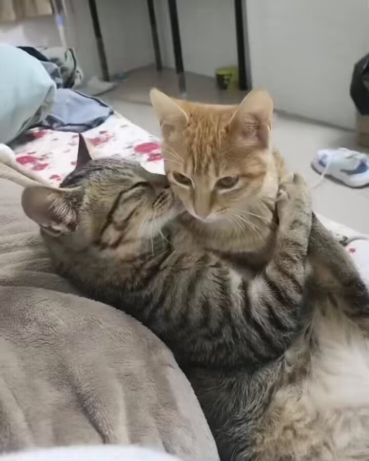 me and who?