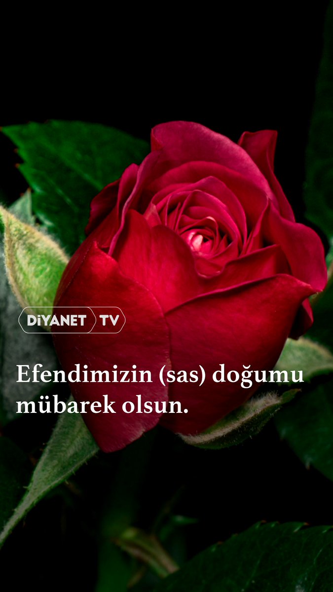 🌹Efendimizin (sas) doğumu, mübarek olsun.