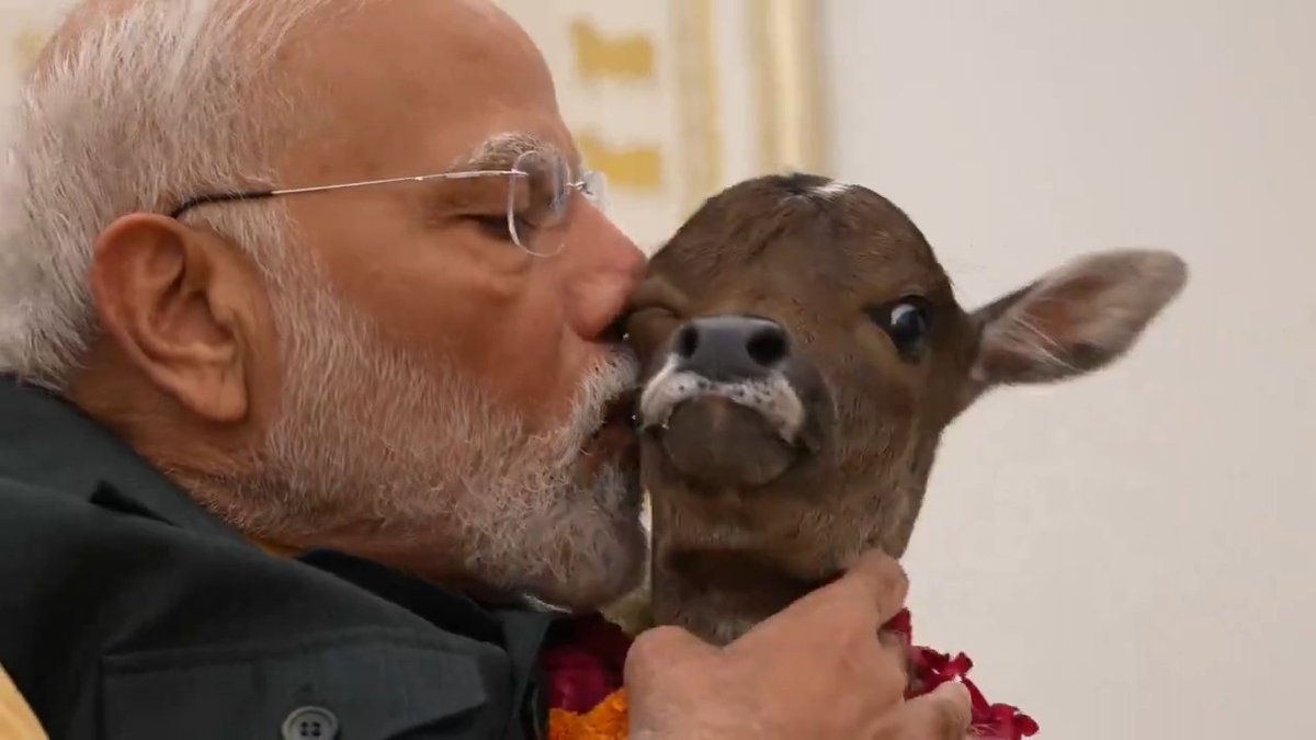 गाव: सर्वसुख प्रदा: प्रधानमंत्री श्री Narendra Modi के आवास पर गौ-माता ने एक नव वत्सा को जन्म दिया है, जिसके मस्तक पर ज्योति का चिह्न है। इसलिए, प्रधानमंत्री मोदी जी ने इसका नाम 'दीपज्योति' रखा है।