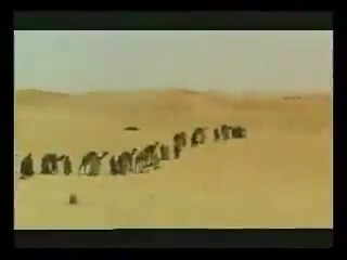 Bu Naat'ın güzelliğini aşamıyorum.