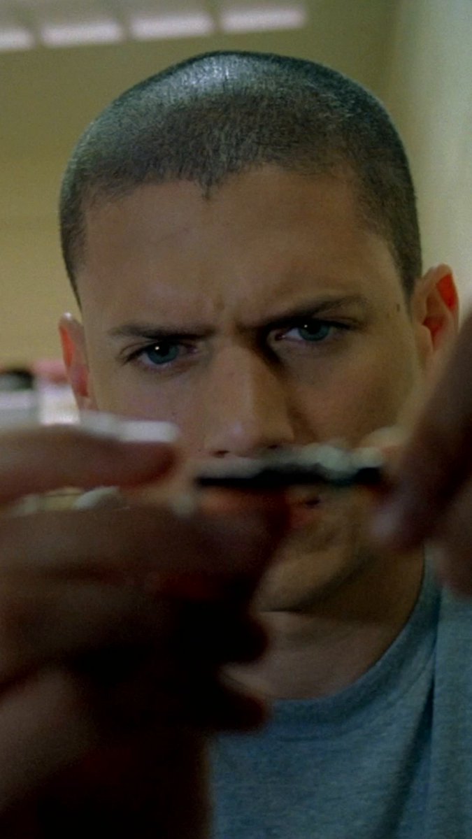 Rewatching Prison Break for the plot. The plot: