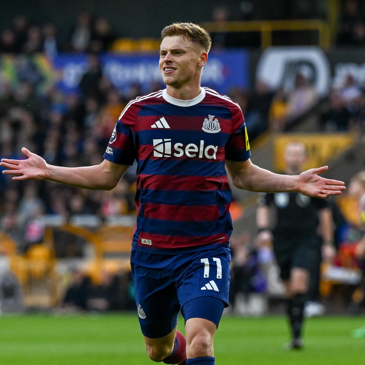Harvey Barnes™️