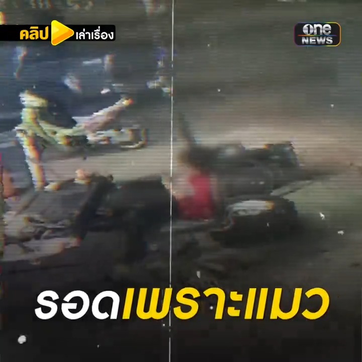 รอดตายเพราะแมว! หนุ่ม 15 หวิดถูกกระบะเมาชนดับ #คลิปเล่าเรื่อง