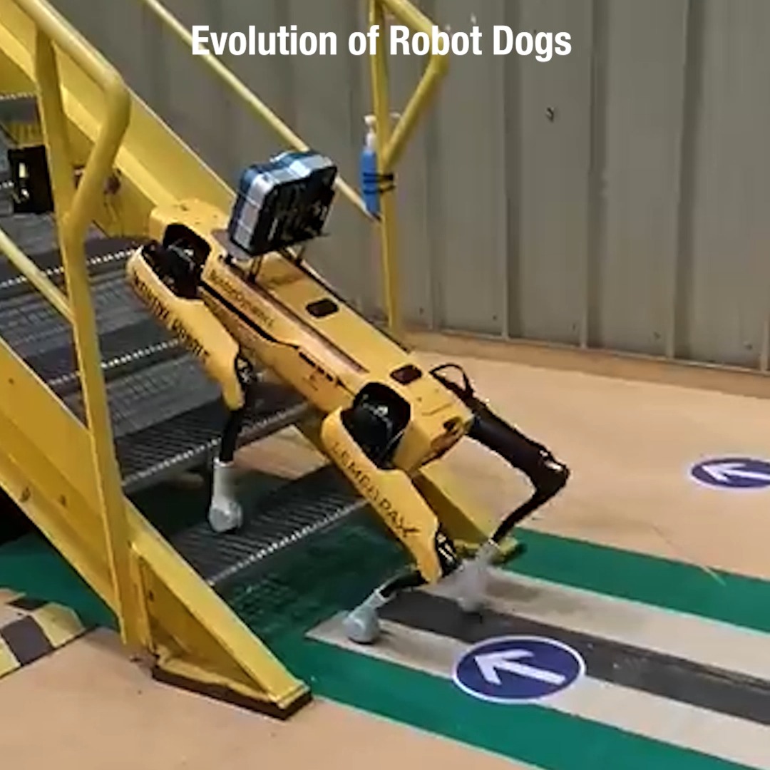 THE FUTURE IS NOW #adultswim #robotics