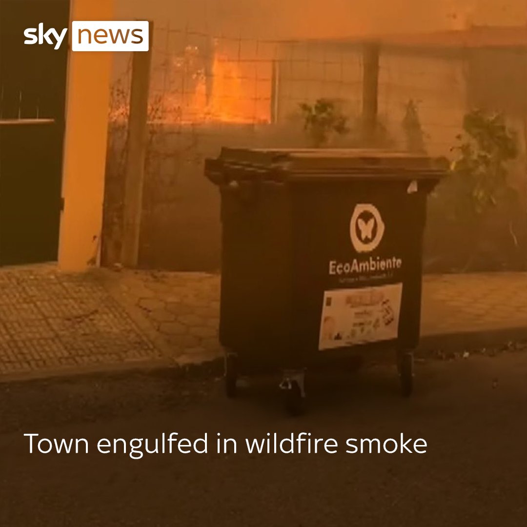 Portuguese town Albergaria engulfed in smoke as wildfires rage