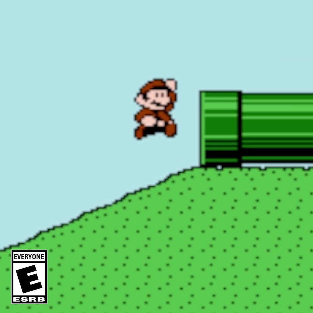 Got the zoomies? We call that speedrunning. #NintendoWorldChampionshipsNES