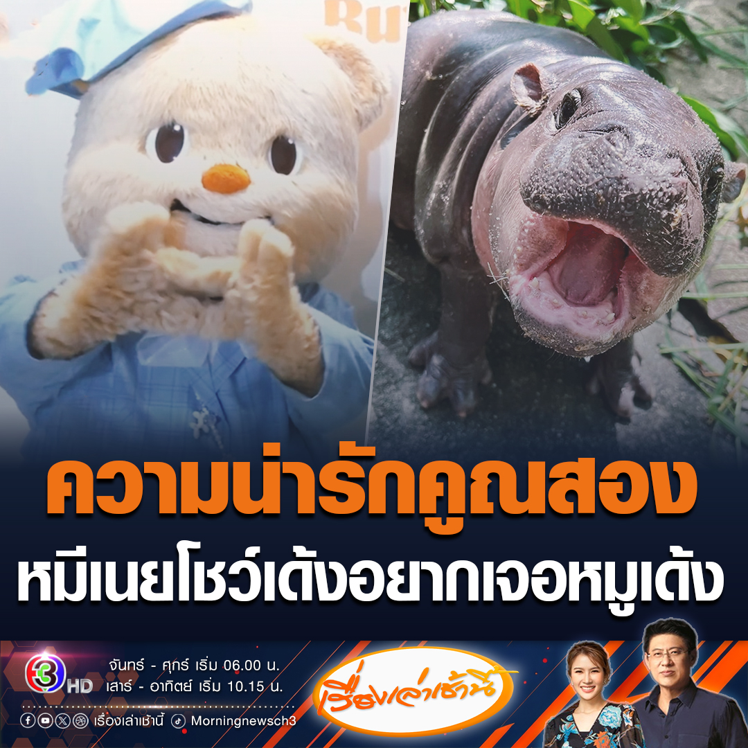 #เรื่องเล่าเช้านี้ "หมีเนย" ควง "วิน เมธาวิน" สัมภาษณ์สื่อ บอกคิดถึงลุงยุทธ ก่อนชมหมูเด้งน่ารัก อยากเจอ พร้อมเด้งโชว์ไป 1 แมตช์ "สรยุทธ" ลั่นเตรียมไม้เรียวรอแล้ว ชอบแอบเปิดพุงโชว์หนุ่มหล่อ #ข่าวช่อง3 #ข่าวโซเชียล #หมีเนย #หมูเด้ง #SOURIXButterbear