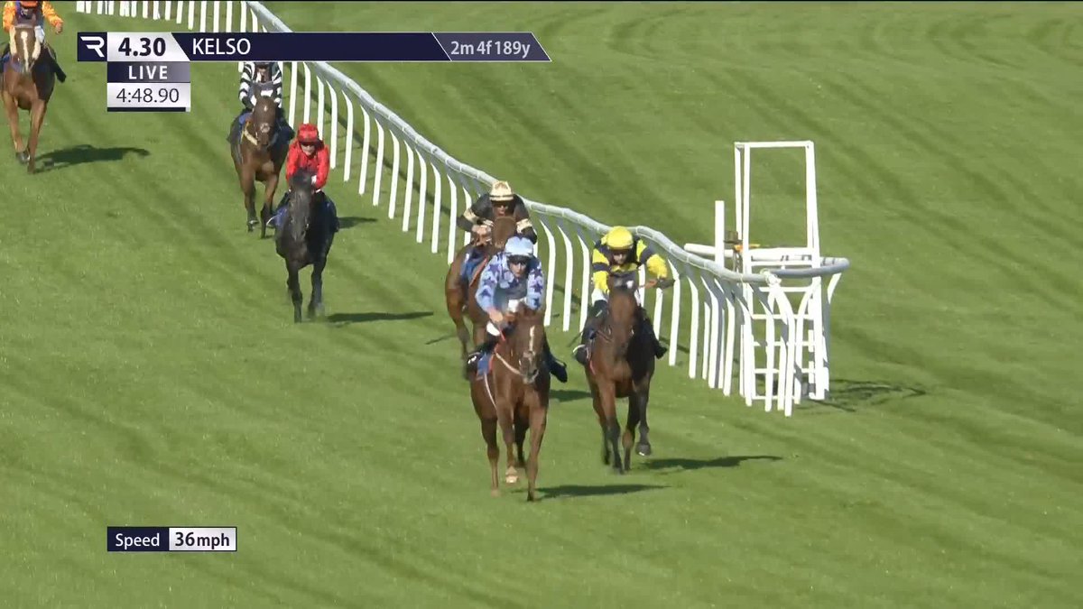 💨🔵🟣 Successive wins for Intense Approach who returns the short-priced favourite under Alex Harvey in the Borders Carers Centre Novices' Hurdle opener Kelso Racecourse 🙌 John McConnell Racing