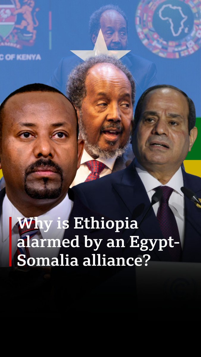 A military alliance between Somalia and Egypt is raising concerns in the fragile Horn of Africa, particularly upsetting Ethiopia. There are fears the tensions could escalate beyond just words. BBC Africa’s Esther Kahumbi explains the key factors behind the situation.