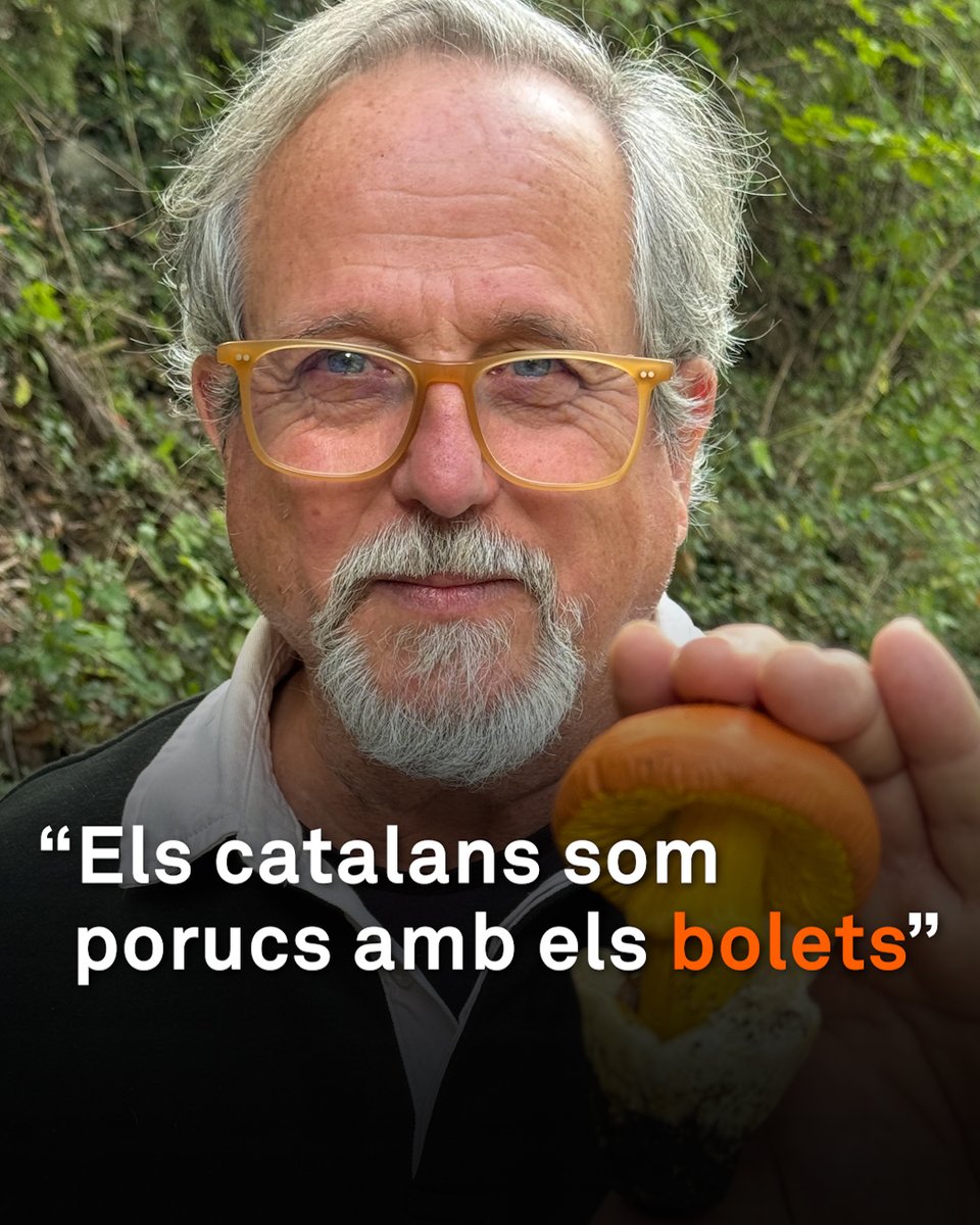 “Els catalans som porucs amb els bolets. Ens agrada el bolet segur.” El micòleg Enric Gràcia, conegut pel programa “Caçadors de bolets”, dona alguns consells i també fa advertències a l’hora de collir-ne. Alerta que anem amb compte amb els fredolics tòxics