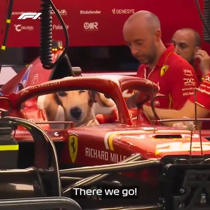 Wait 'til you see Leo in the cockpit 😍 #F1 #SingaporeGP Charles Leclerc