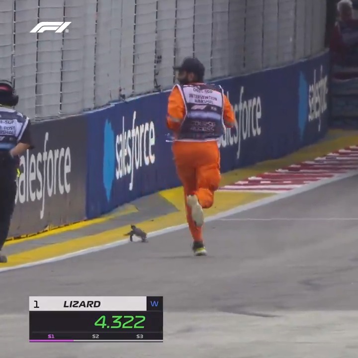 昨日のF1シンガポールGPのコースに大きなトカゲが迷い込んで練習走行が一時中断するという珍事があったんだけど、その時の映像にF1の公式アカウントが『LIZARD(トカゲ)』の選手名で公式のタイム計測画面を出していて笑ってしまった。 #f1jp