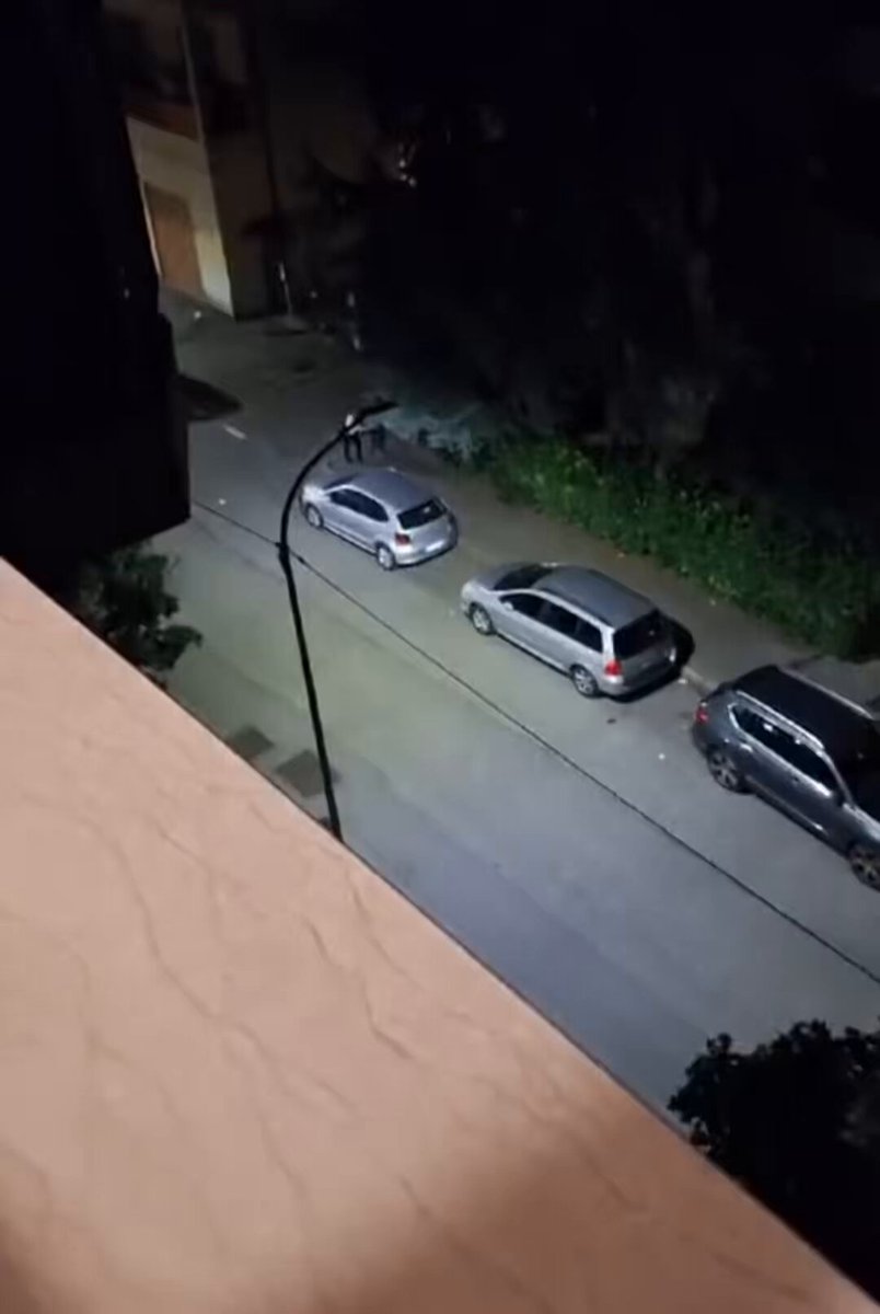 The usual non EU suspect robs a woman in Mestre. Shortly before, he had robbed another woman and kiIIed an Italian boy.