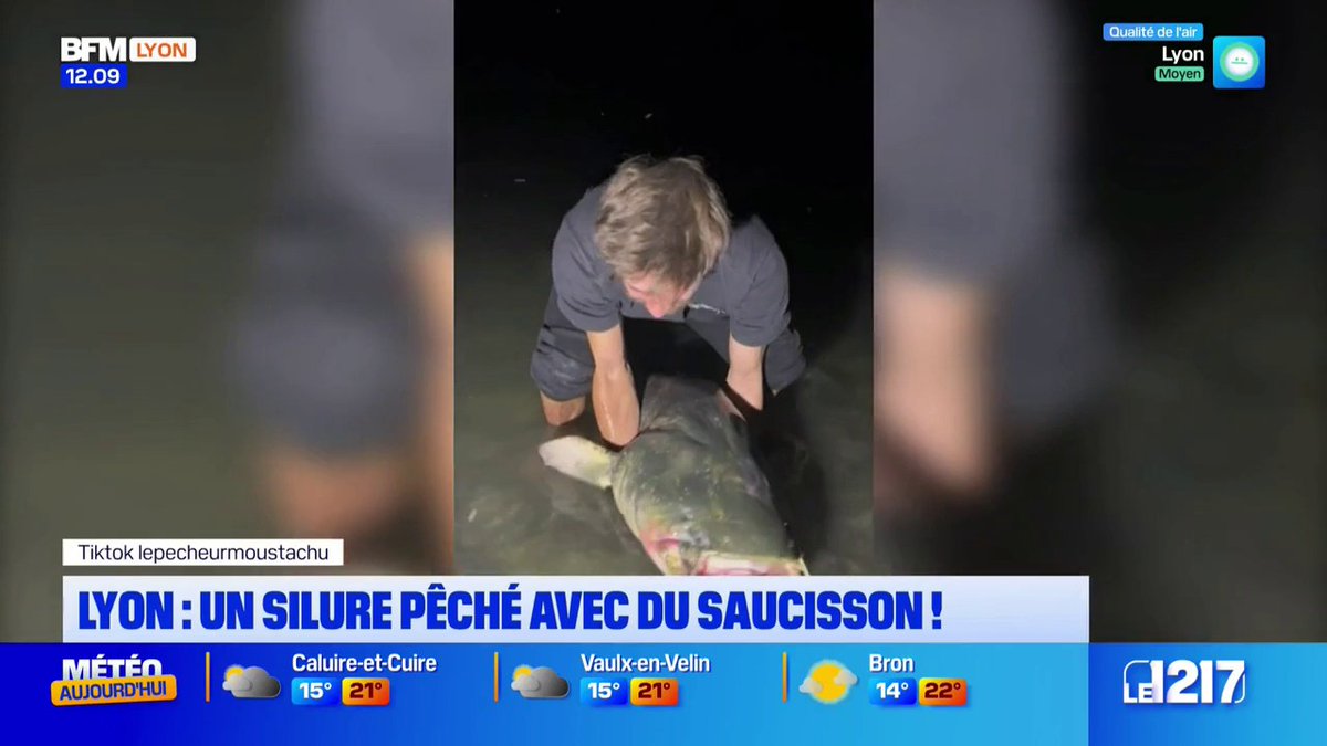 Lyon: un silure pêché à l'aide d'un saucisson