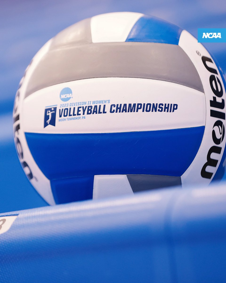 Celebrating #NationalVolleyballDay! 🔥 Here's to all the student-athletes, coaches and fans who make the sport great! 🏐