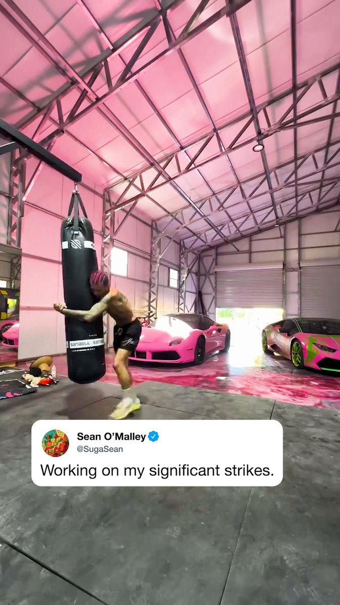 Sean O'Malley on his takeaways from his #NocheUFC fight 😅 (via Sean O'Malley)