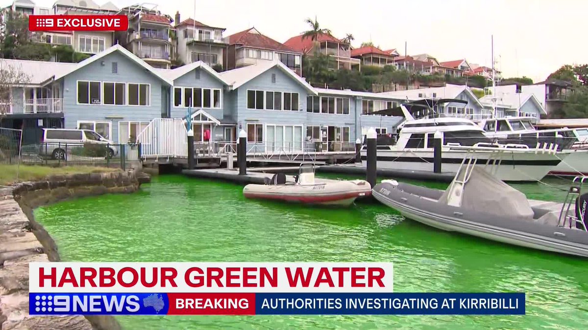 #BREAKING: Authorities are investigating why parts of Sydney Harbour have turned fluorescent green. Annalise Bolt #9News