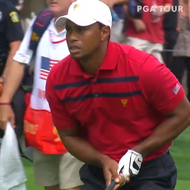 🚨🏆🐅 #FLASHBACK — Tiger Woods smoked a 5-wood from 238 to set up an eagle putt which was eventually conceded. Team 🇺🇸 would go on to win the match and the 2013 Presidents Cup the following day. TWLEGION