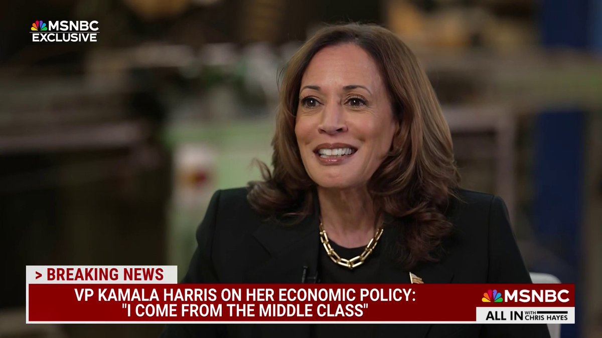 EXCLUSIVE: "Donald Trump has a history of taking care of very rich people, and I'm not mad at anybody for being rich, but they should pay their fair share," says VP Harris. Stephanie Ruhle presses VP Harris on why some voters prefer Trump on the economy during a one-on-one interview.