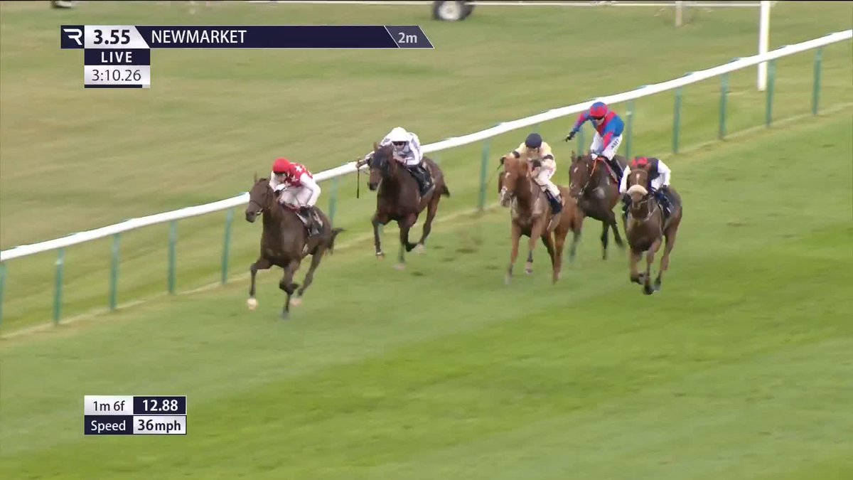 Blimey ... 👀 𝐀𝐥 𝐍𝐚𝐲𝐲𝐢𝐫 - runner-up to Vauban in the Lonsdale Cup York Racecourse on debut for Tom Clover Racing - absolutely dots up in the Listed The Jockey Club Rose Bowl Stakes Newmarket Racecourses 🔥
