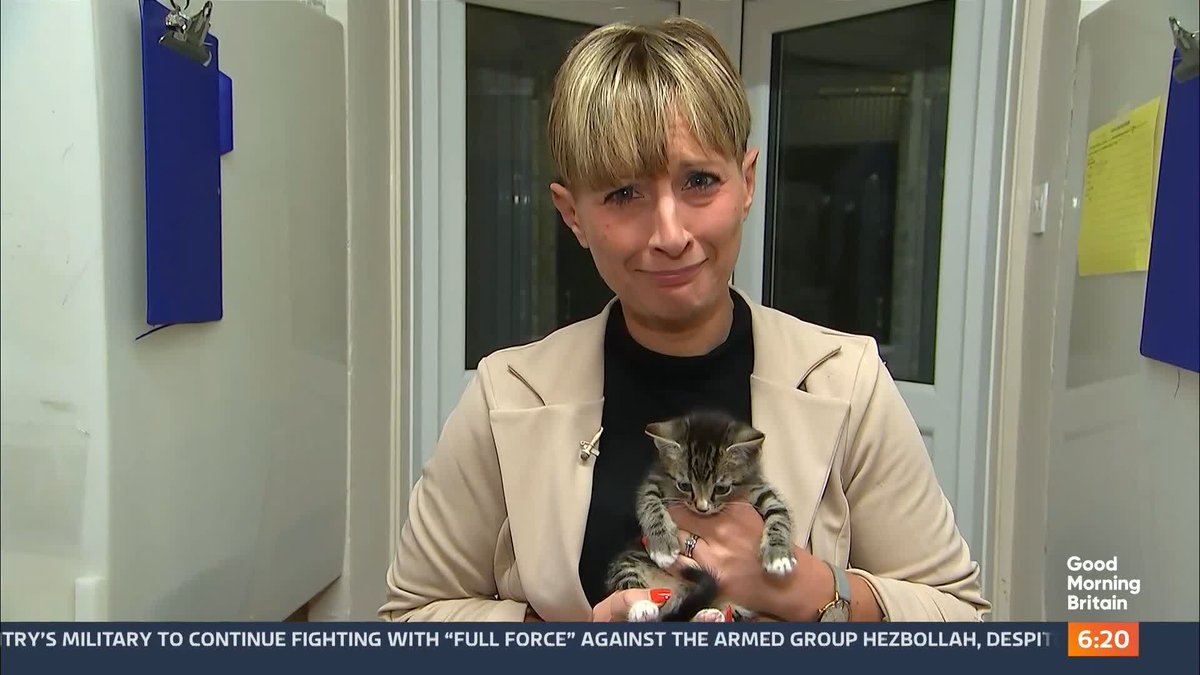 A nationwide kitten crisis has been declared by the RSPCA after an unprecedented number of cats were left abandoned over the summer. The animal charity currently has more than 100 cats and kittens awaiting a loving home. @KatyRickitt reports.