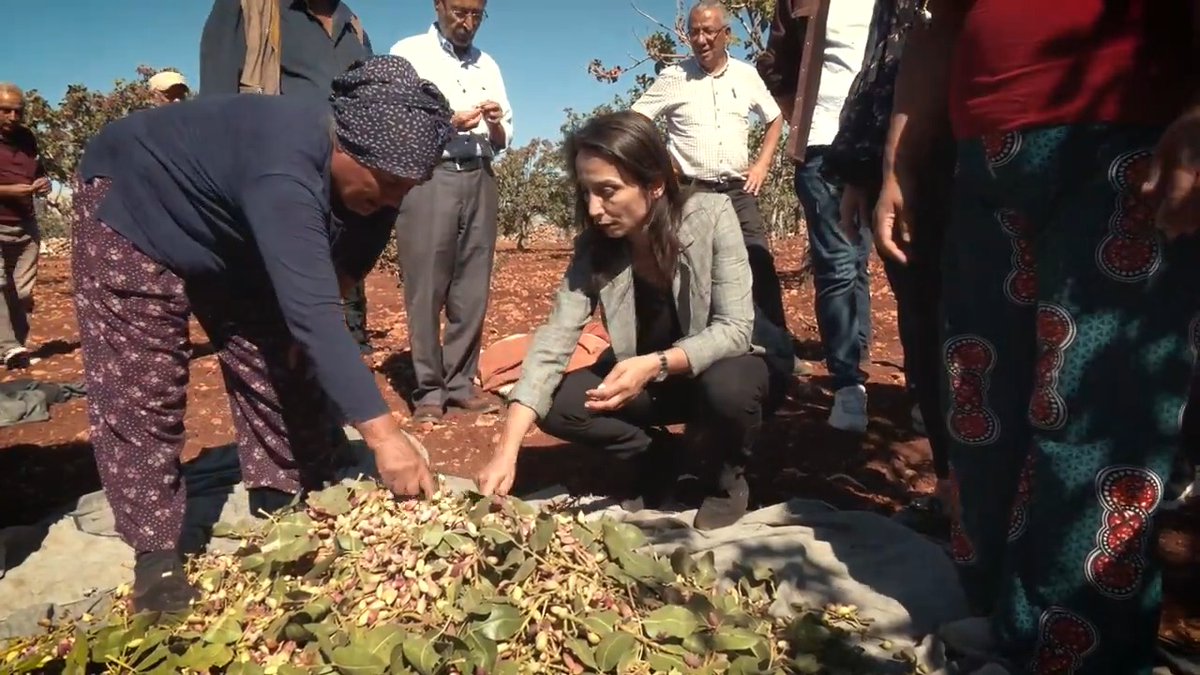Toplum, işçi, emekçi, yoksul razı değildir bu sistemden. Bize düşen görev daha fazla bir araya gelmek, daha fazla birleşmektir.