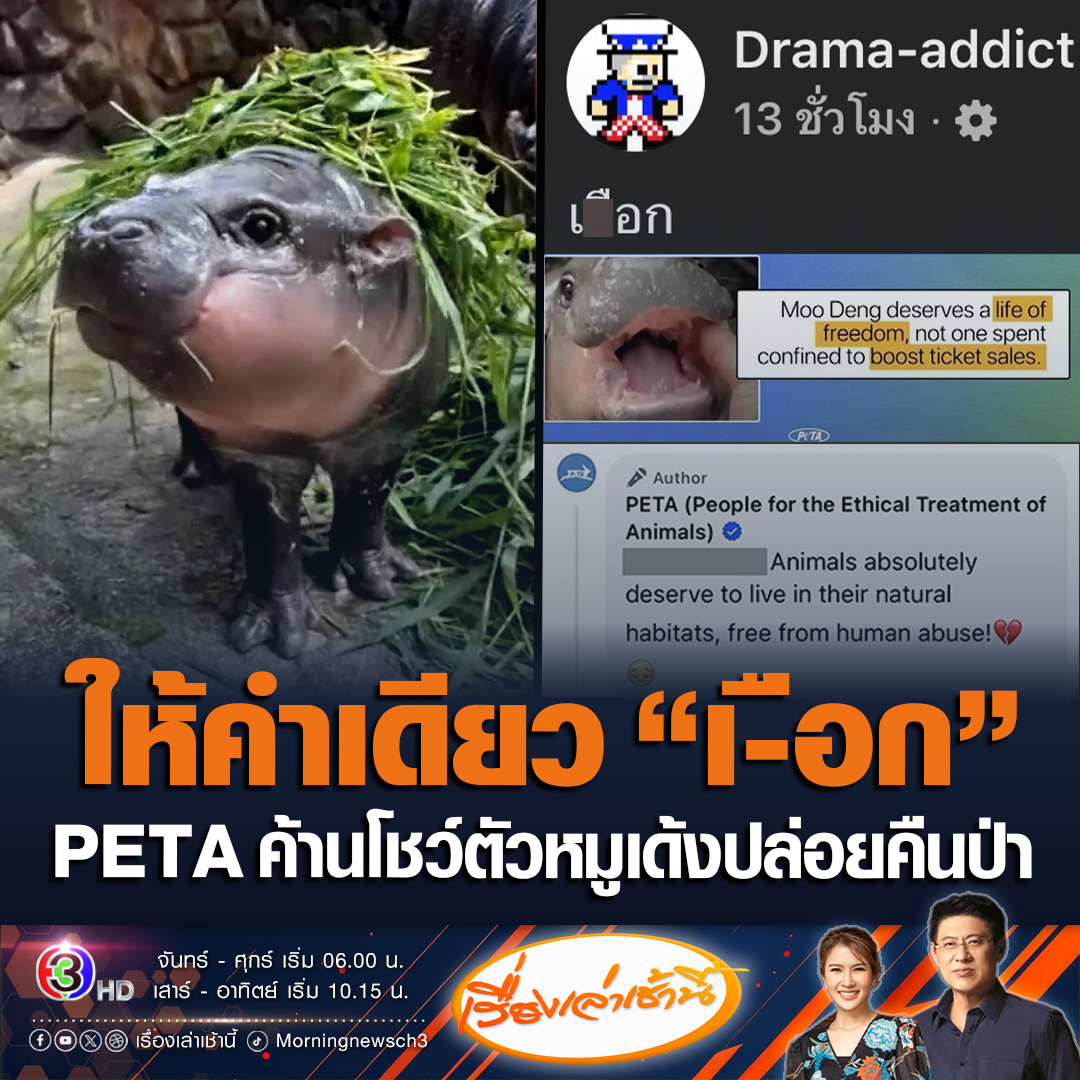 #เรื่องเล่าเช้านี้ PETA เรียกร้องปล่อย “หมูเด้ง” คืนสู่ป่า ติงสวนสัตว์โชว์ตัวหาประโยชน์ ขณะที่โซเชียลวิจารณ์สนั่น ไม่เห็นด้วยเพราะเป็นสัตว์เสี่ยงสูญพันธุ์ เพจดังตอกกลับแรง เ-ือก #ข่าวช่อง3 #ข่าวโซเชียล #หมูเด้ง