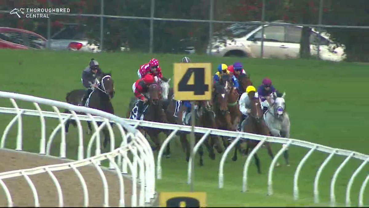Peace Treaty takes the last! ✌️ @Blake_Shinn bookends the program in the saddle for Anthony Freedman Racing.