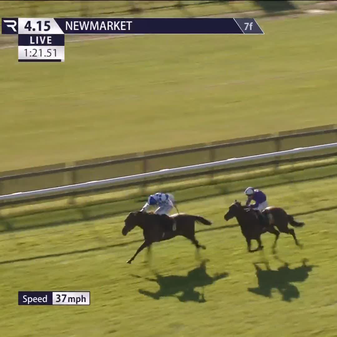 ✅ Off the mark Saqqara Sands (Oasis Dream) is off the mark at the second time of asking for Ralph Beckett Newmarket Racecourses