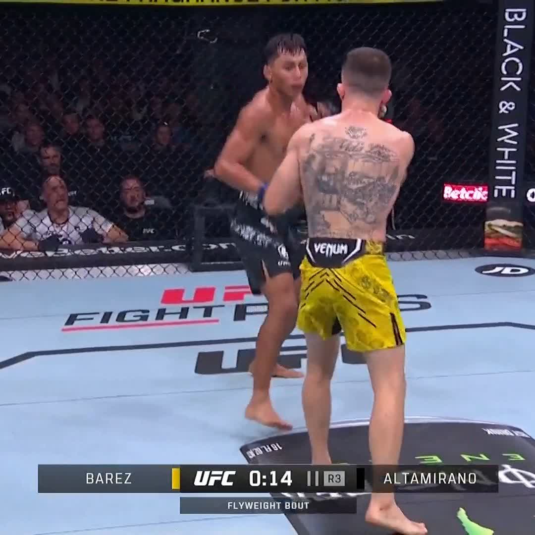 LE COMBAT DE FOUUUUUU MDRRR C'EST DÉJÀ UN CLASSIQUE