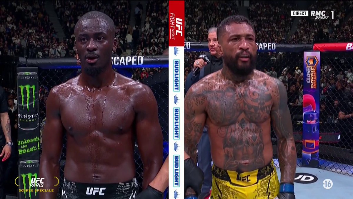 🔥🇫🇷 INCROYABLE !!!! ALORS QUE TOUT LE MONDE LE VOYAIT PERDANT, WILLIAM GOMIS S'IMPOSE À LA DÉCISION PARTAGÉE FACE A BRITO !! 💥 Le Jaguar invaincu a parlé Français et a met tout le monde d'accord en frappant très très fort !
