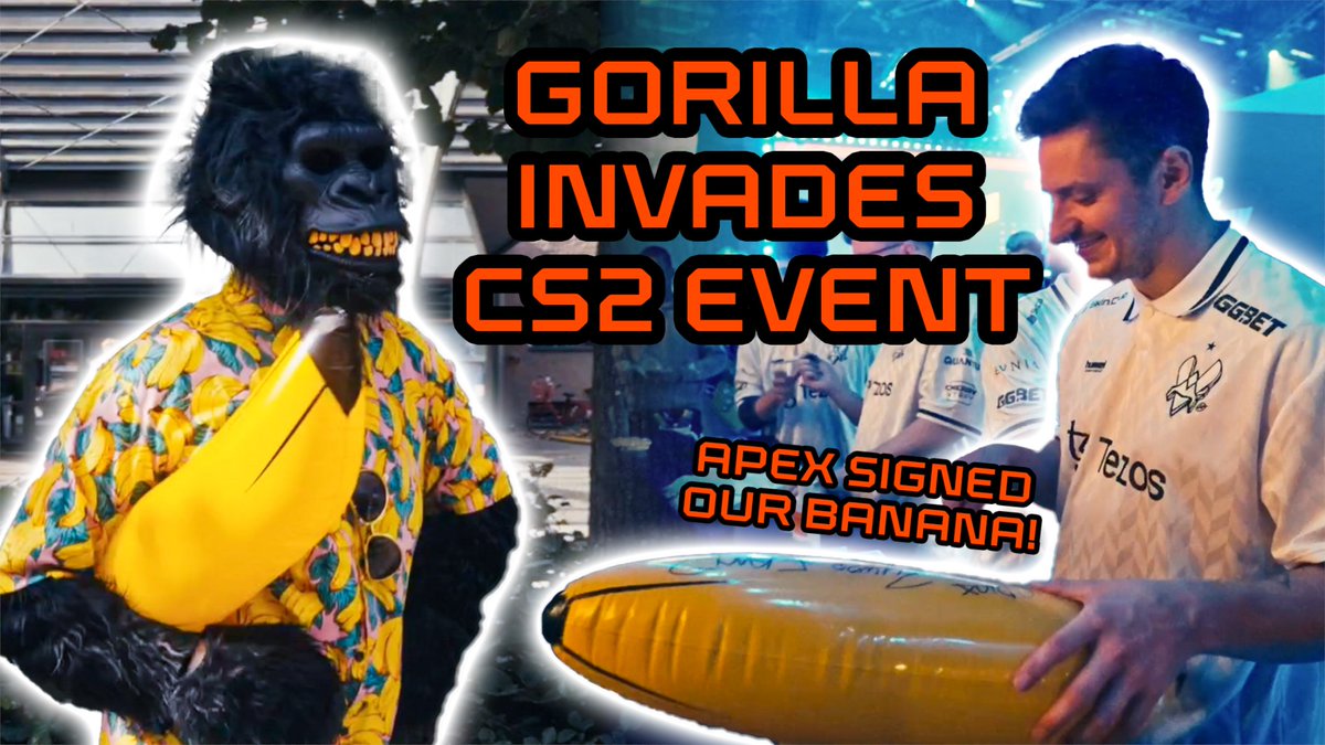 POV: you're a gorilla at a CS2 LAN 🦍 🍌 GG.BET #BLASTPremier