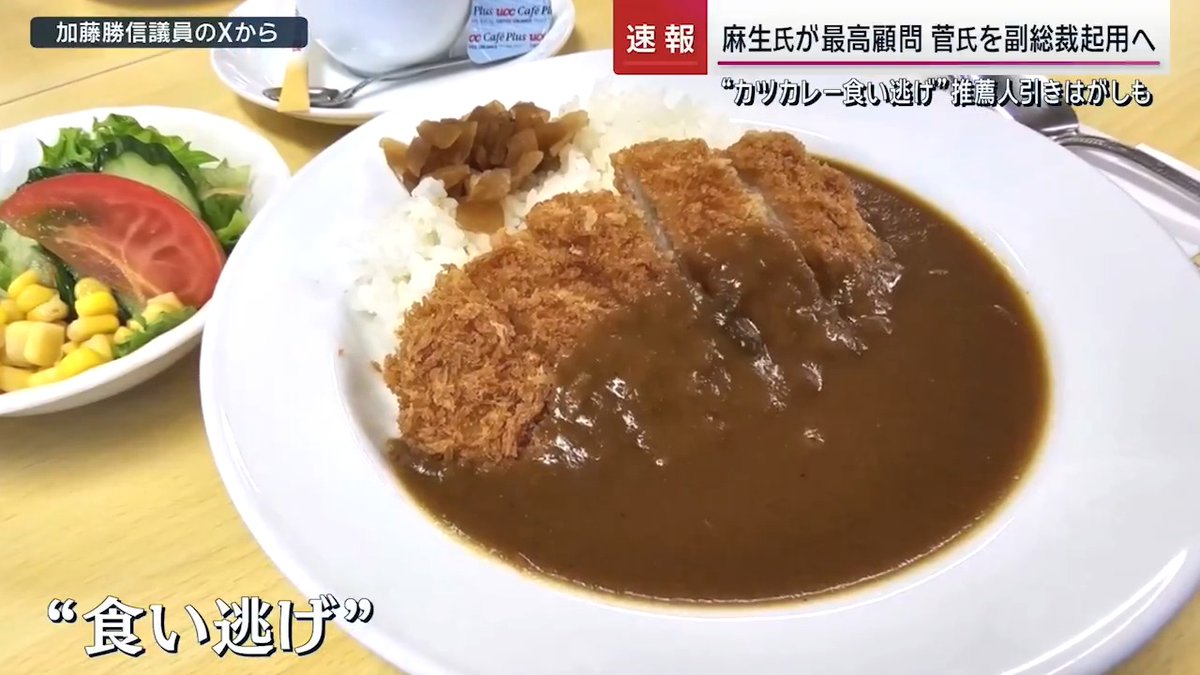 【#自民総裁選 加藤陣営“カツカレー食い逃げ”の背景】 加藤勝信 元官房長官の陣営では、総裁選前集まった20人の推薦人にカツカレーが供されたものの、1回目の投票で16票しか入らず 加藤陣営 「高市陣営から『1票をお願いします』というひきはがしの電話がかかってきた」 小泉陣営 「小泉が決選に残れるか危うい中で、3位以降は死に票になるわけだから、いかに票を寄せるか」 →加藤陣営は、議員票の積み増しを図る高市氏と小泉氏の両陣営からひきはがしのターゲットにされていたか ▼加藤陣営はギリギリまで推薦人が集まらず 他陣営から推薦人のなり手を借りて、出馬にこぎつけた事情も 他陣営ベテラン議員 「加藤さんに推薦人を2人貸したよ。菅前総理らも直接電話して、推薦人をつけてあげてようやくそろった」 →加藤陣営にとって“食い逃げ”はある程度想定された事態で、総裁選後の結果報告会でも犯人探しをするような空気はなし 加藤勝信 元官房長官 「色々な皆さん事情がある中で、逆に言えばこうやって支えてきていただいた。本当に感謝の言葉しかない」 サンデーステーション