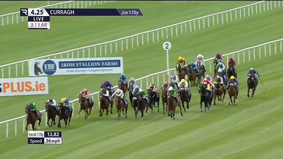 The Euphrates wins the Irish Cesarewitch! 🏆🟢 A four-timer for Aidan O'Brien and Ryan Moore at The Curragh Racecourse 👏 Ballydoyle Racing | Coolmore